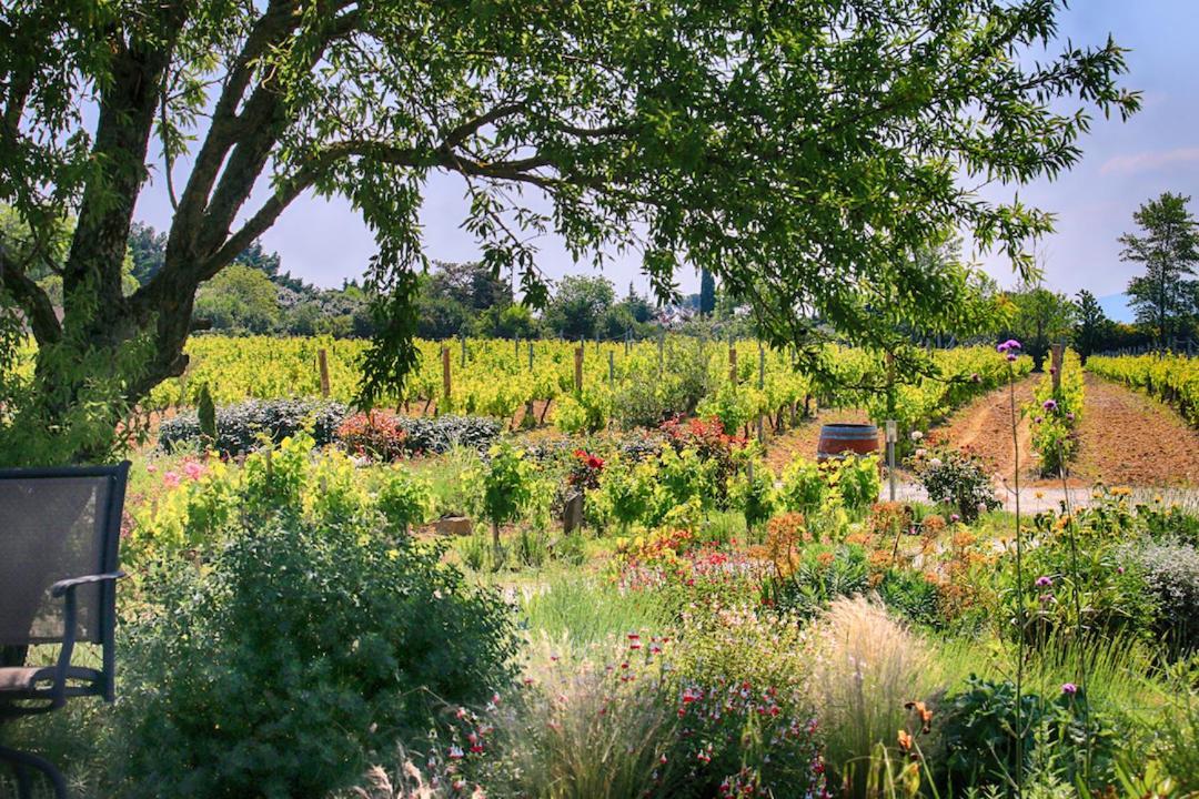 O'Vineyards B&B Carcassonne Villemoustaussou 외부 사진