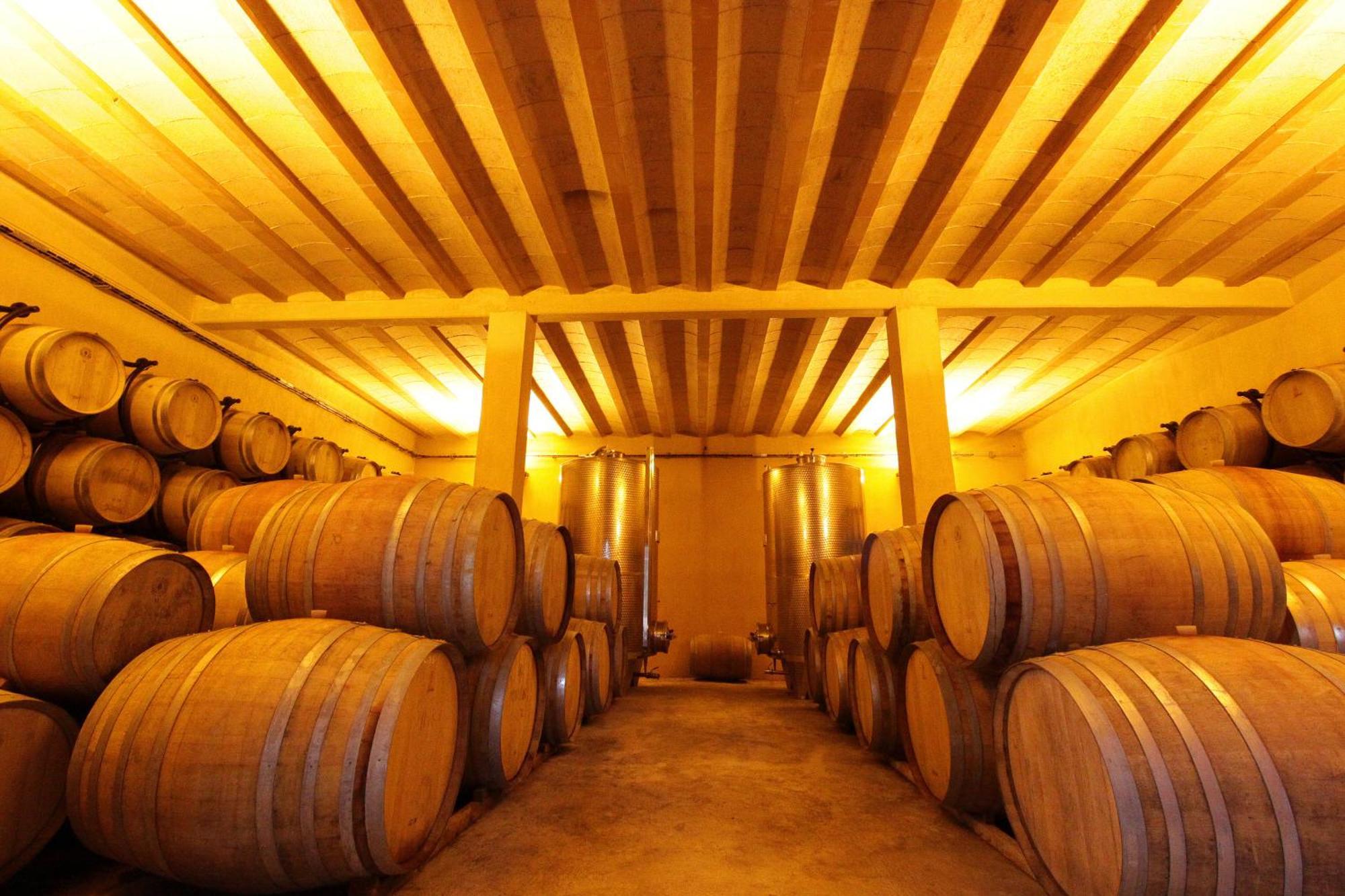 O'Vineyards B&B Carcassonne Villemoustaussou 외부 사진