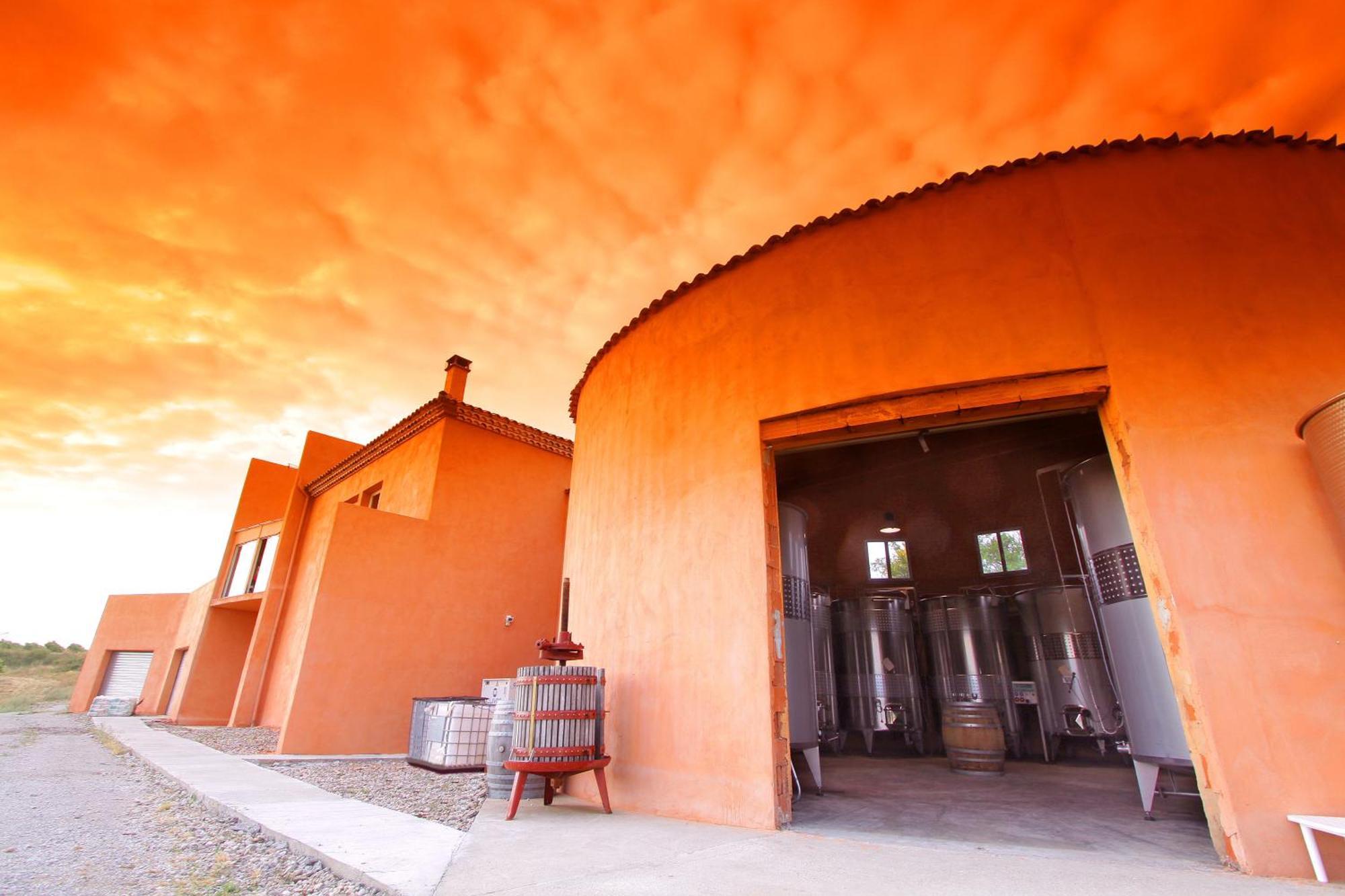 O'Vineyards B&B Carcassonne Villemoustaussou 외부 사진