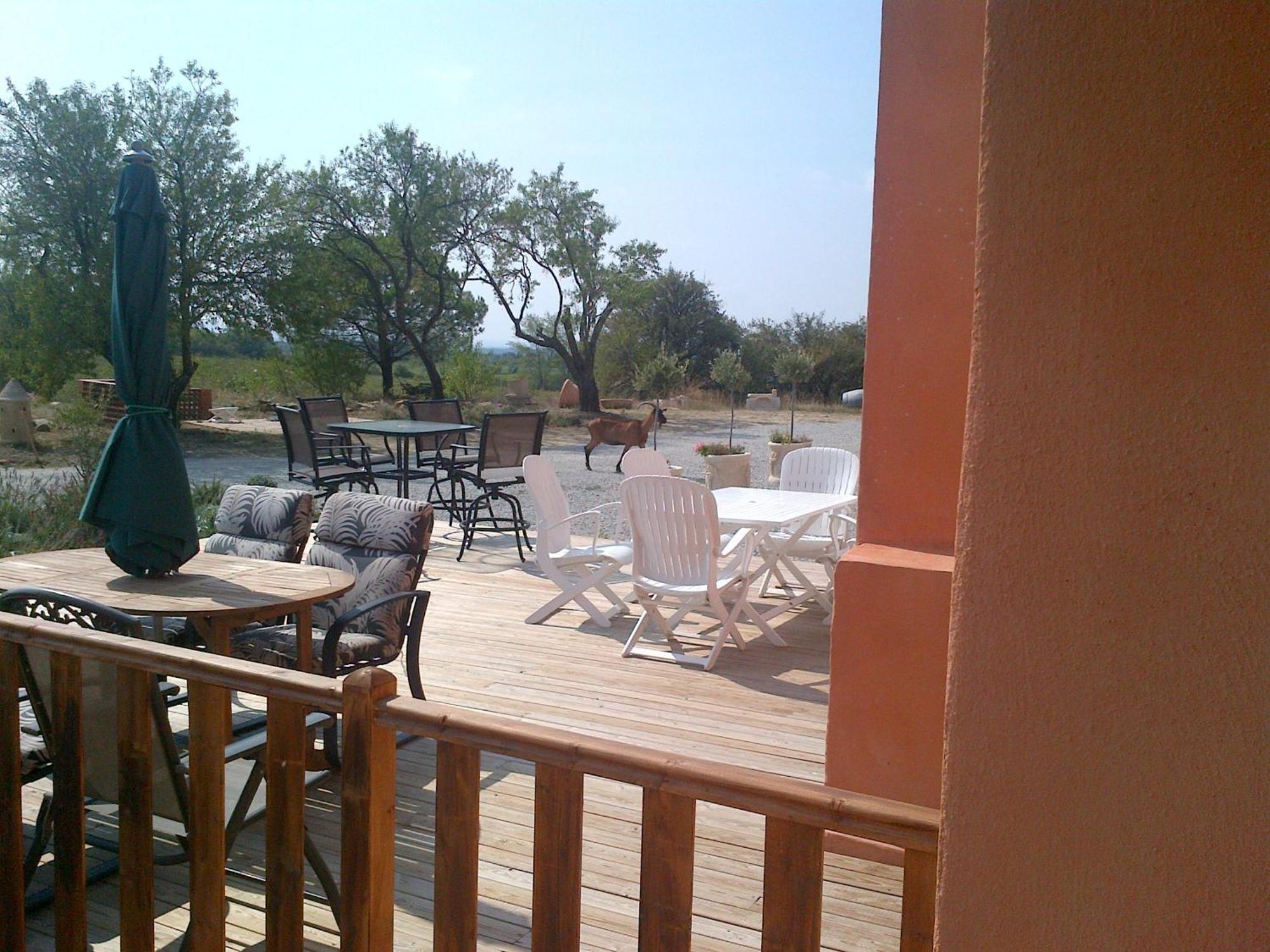 O'Vineyards B&B Carcassonne Villemoustaussou 외부 사진