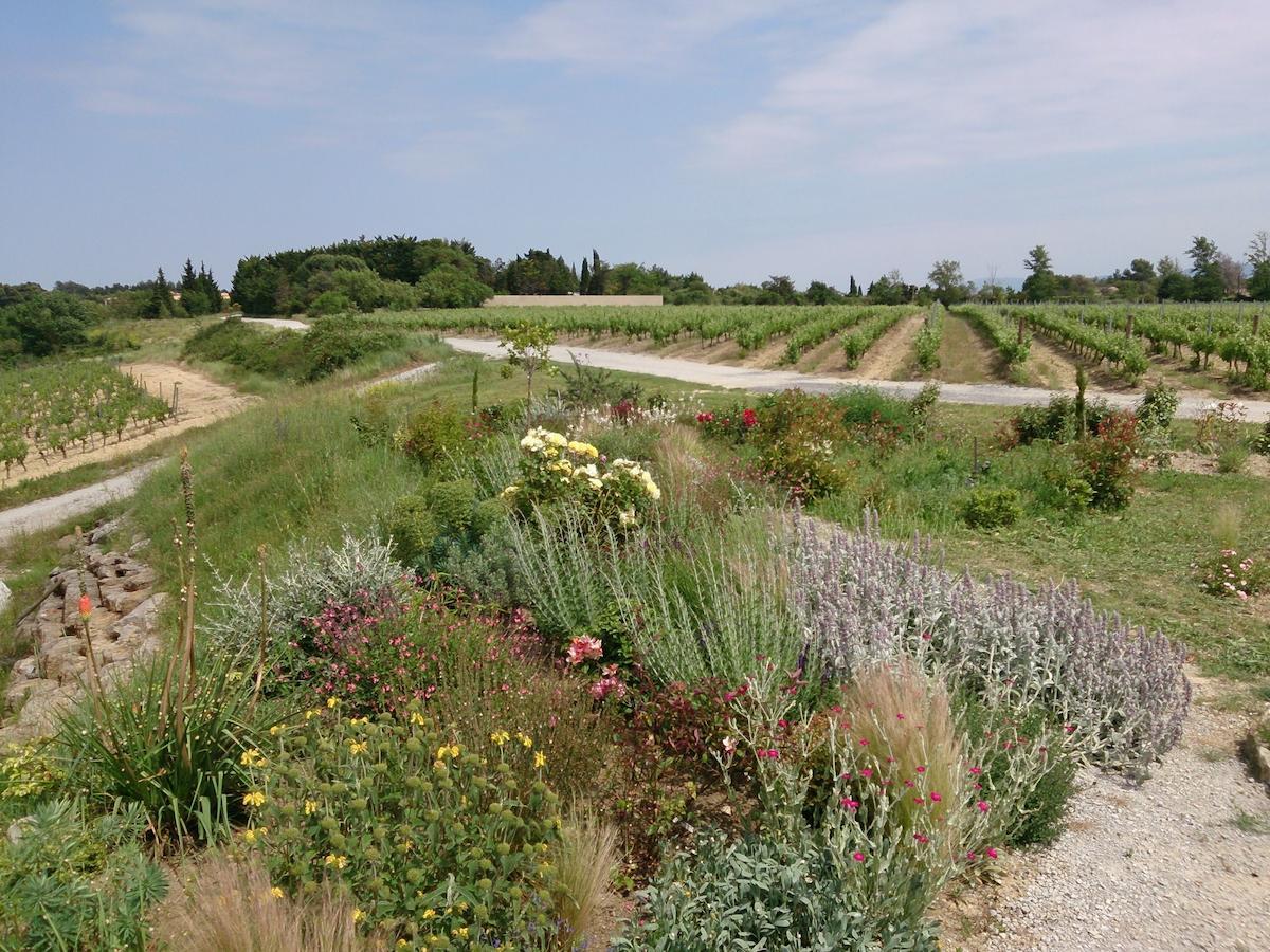 O'Vineyards B&B Carcassonne Villemoustaussou 객실 사진