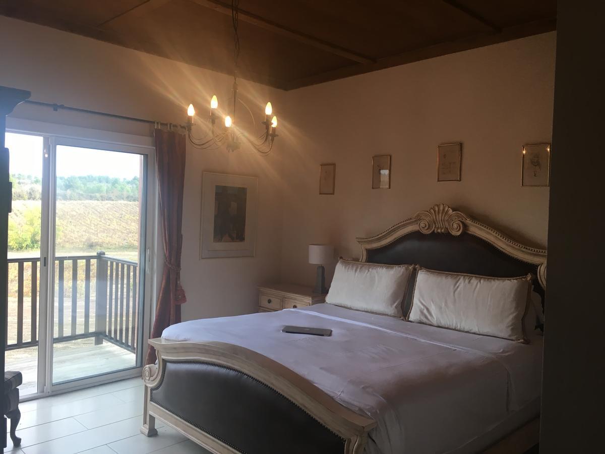 O'Vineyards B&B Carcassonne Villemoustaussou 외부 사진