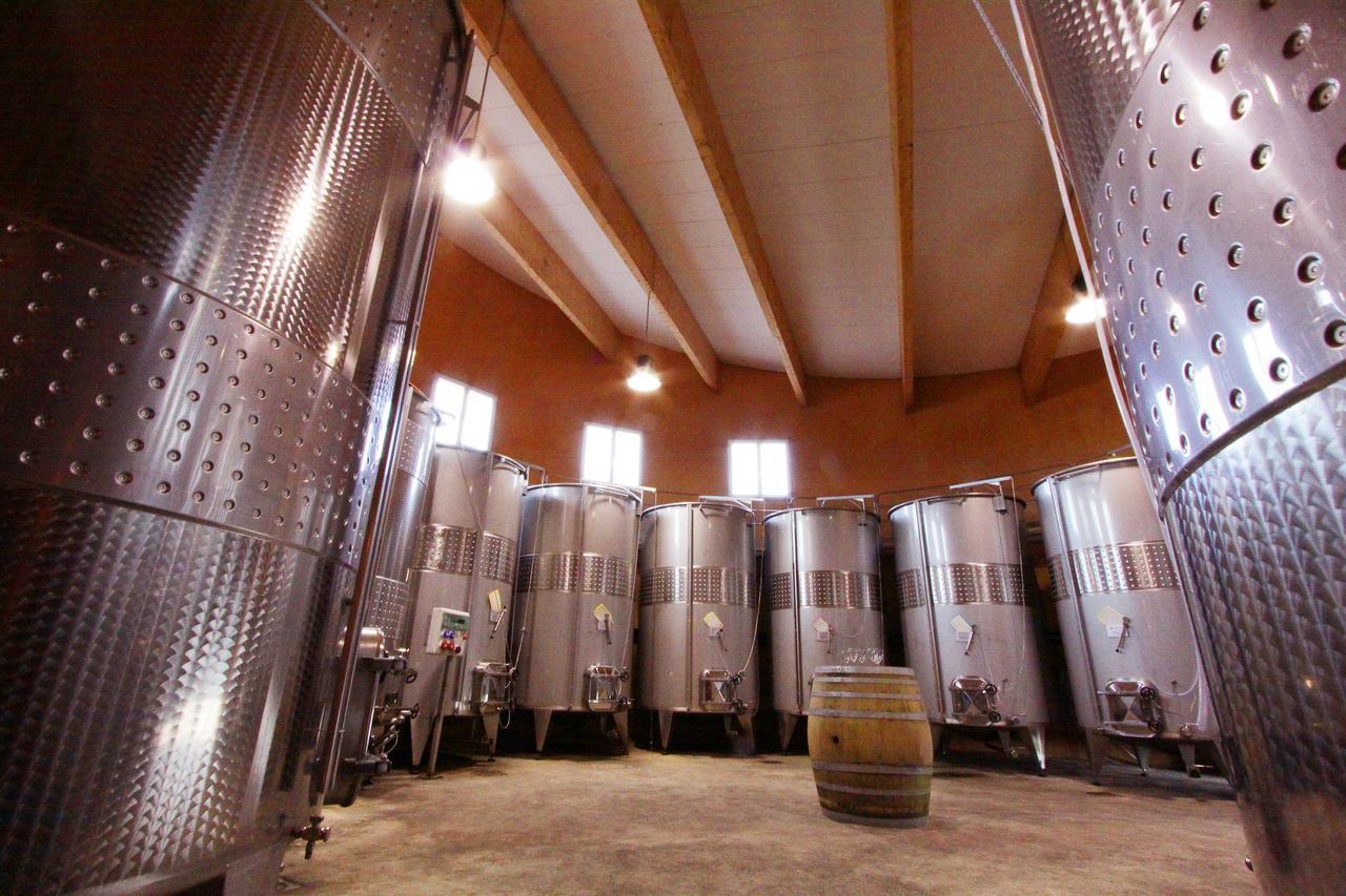 O'Vineyards B&B Carcassonne Villemoustaussou 외부 사진
