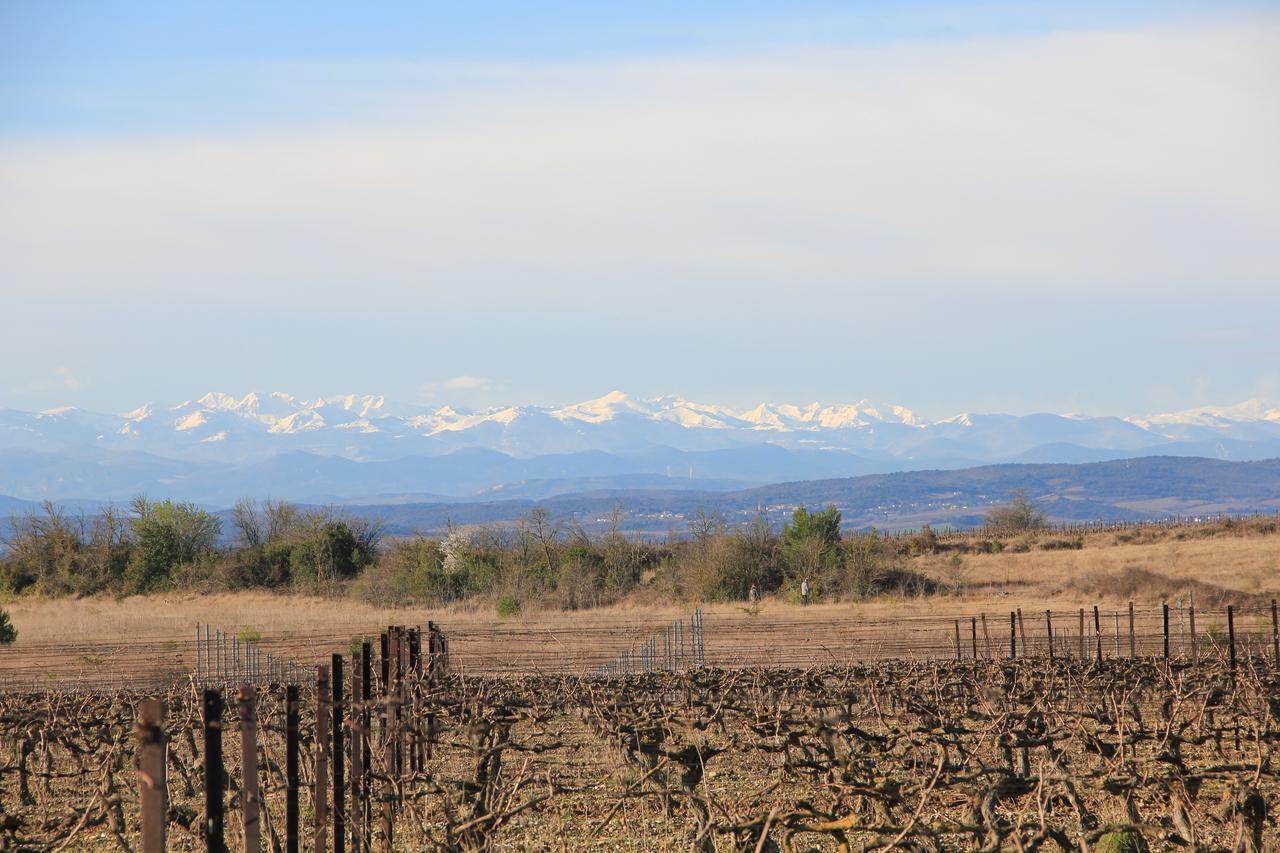 O'Vineyards B&B Carcassonne Villemoustaussou 외부 사진