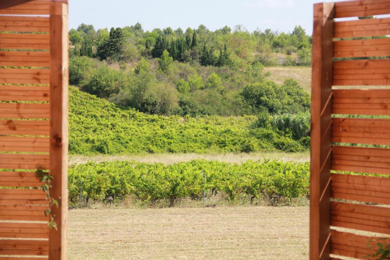O'Vineyards B&B Carcassonne Villemoustaussou 외부 사진
