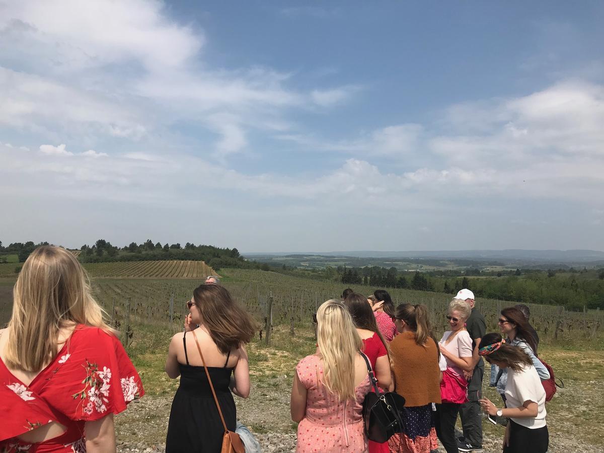 O'Vineyards B&B Carcassonne Villemoustaussou 외부 사진